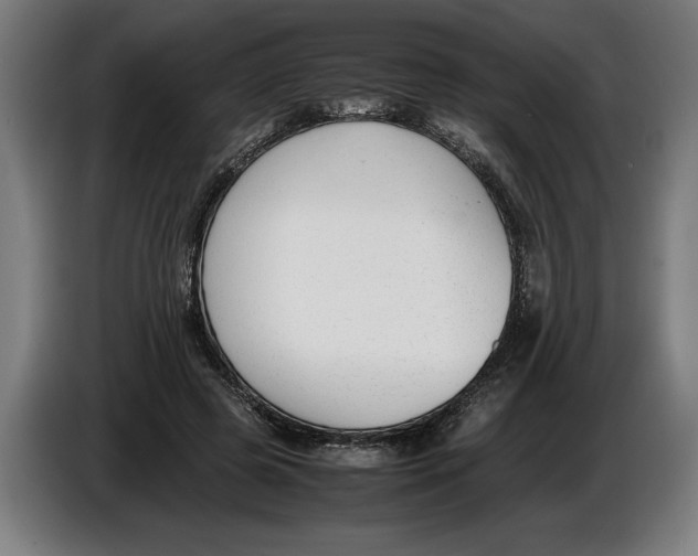 X0000086310545200704202004