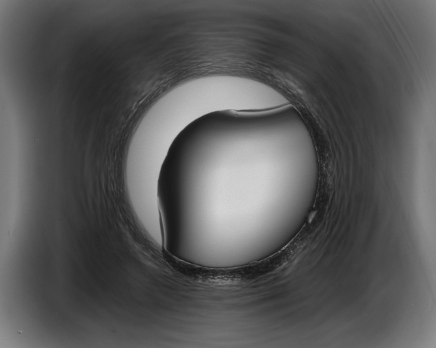 X0000086310546200704202004