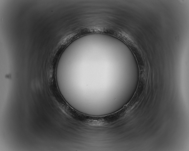 X0000086310548200704202004