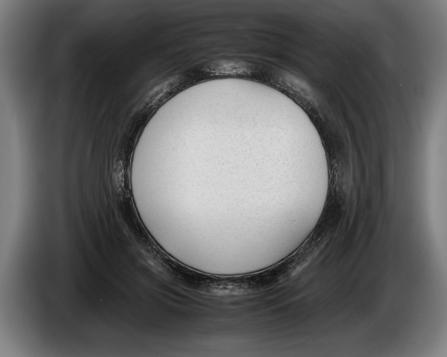 X0000086310549200704202004