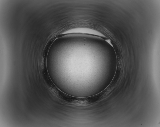 X0000086310552200704202004