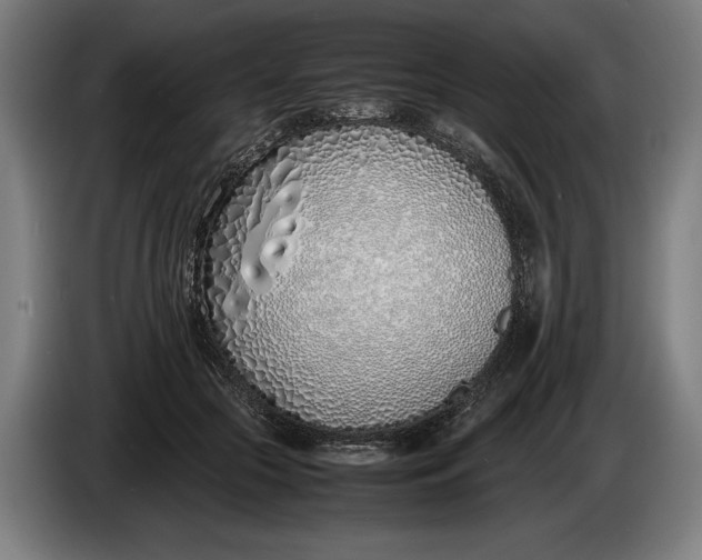 X0000086310553200704202004