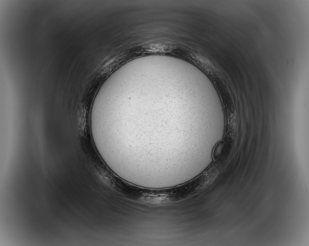 X0000086310554200704202004