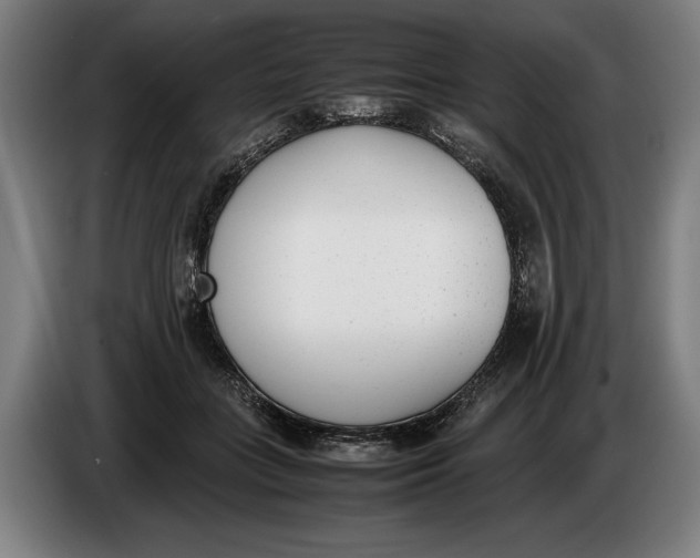 X0000086310555200704202004