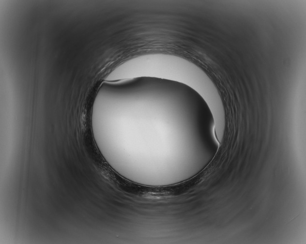 X0000086310556200704202004