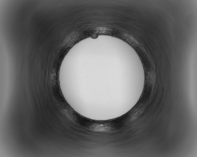 X0000086310557200704202004