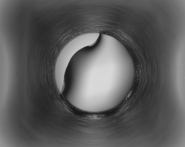 X0000086310558200704202004