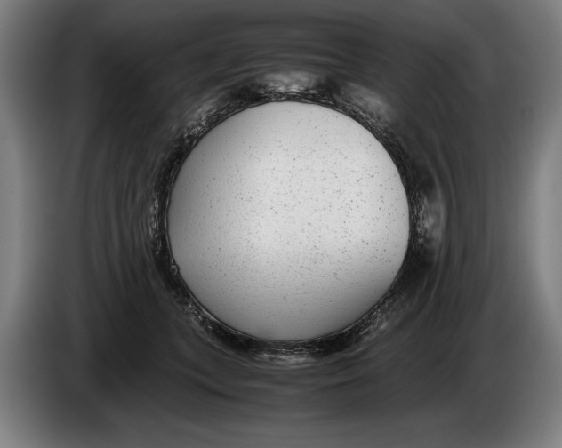 X0000086310559200704202004