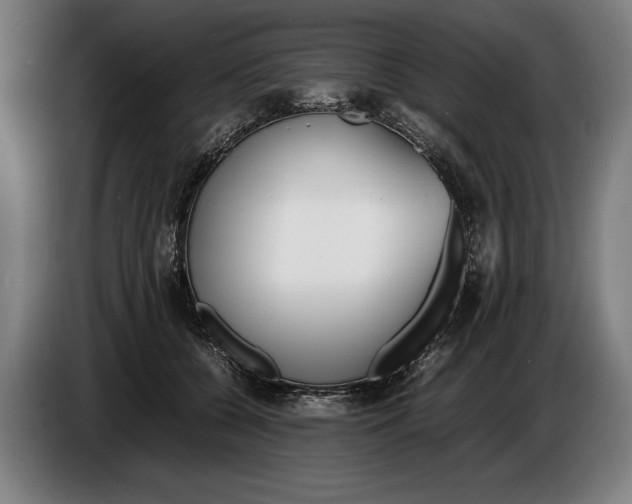 X0000086310560200704202004