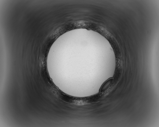 X0000086310561200704202004