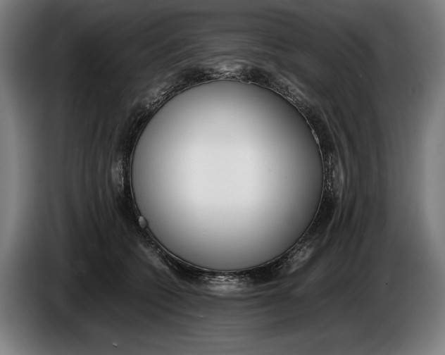 X0000086310562200704202004