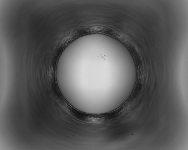 X0000086310563200704202004