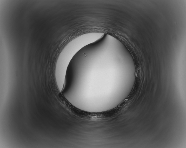 X0000086310564200704202004