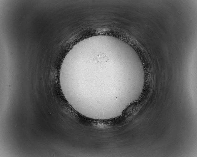 X0000086310565200704202004