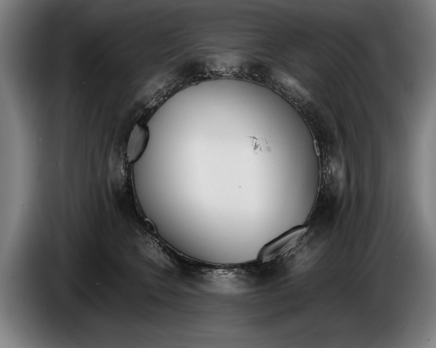 X0000086310566200704202004