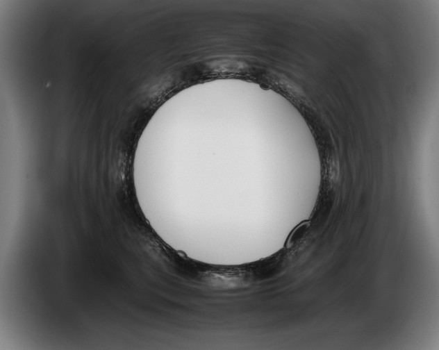 X0000086310567200704202004