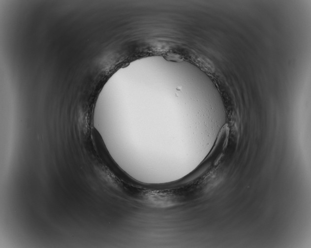 X0000086310568200704202004