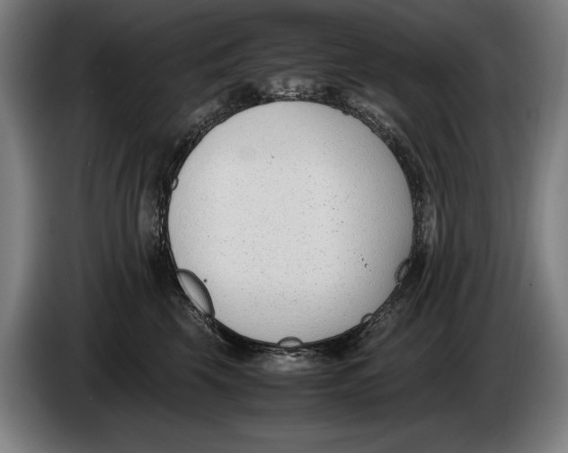 X0000086310569200704202004