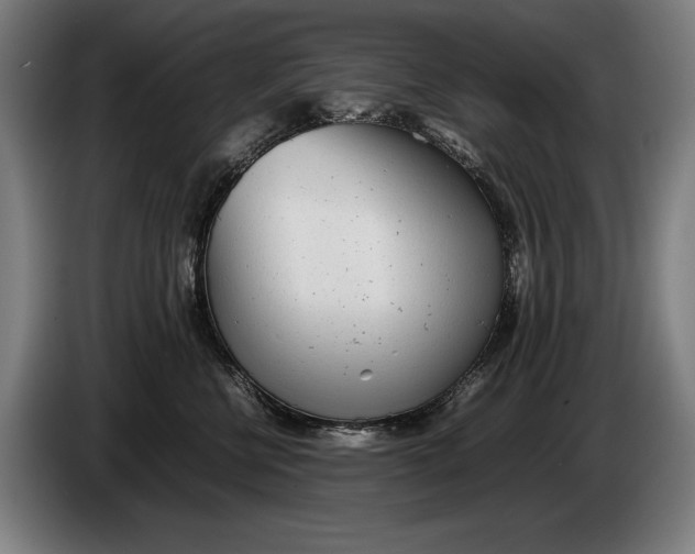 X0000086310570200704202004