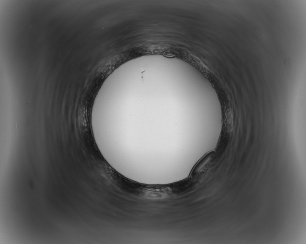 X0000086310571200704202005