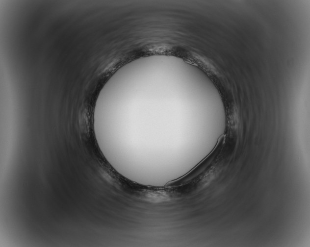 X0000086310572200704202005