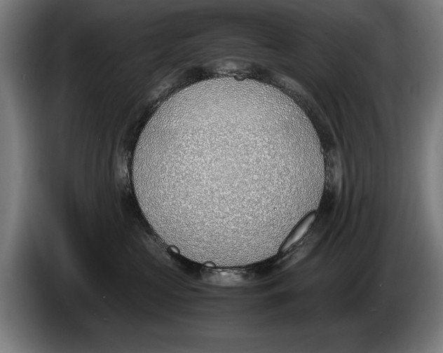 X0000086310573200704202005