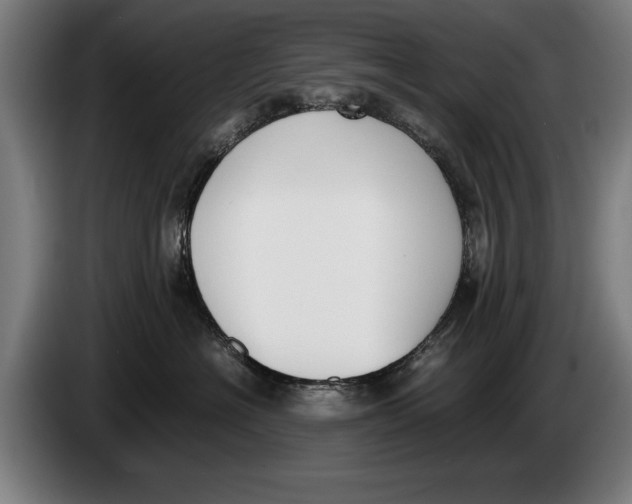 X0000086310574200704202005