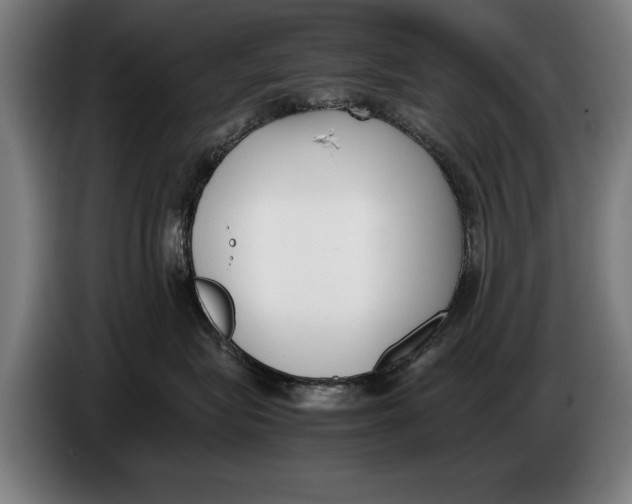 X0000086310575200704202005