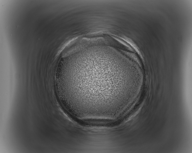 X0000086310577200704202004