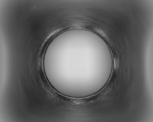 X0000086310579200704202004