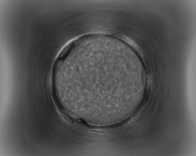 X0000086310580200704202004