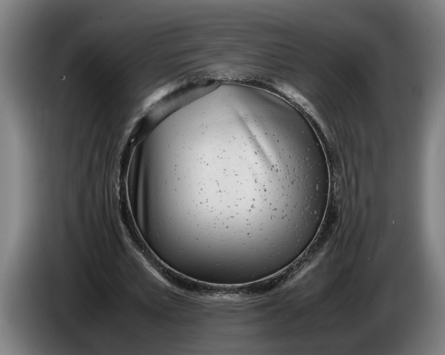 X0000086310581200704202004