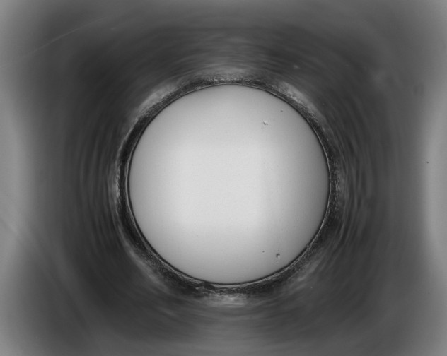 X0000086310582200704202004