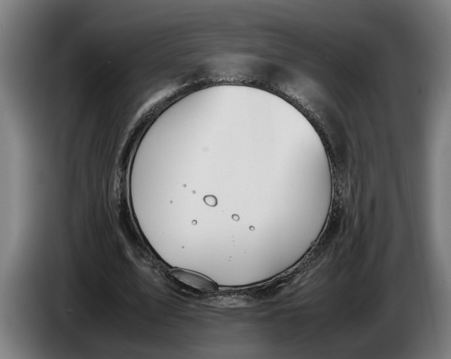 X0000086310583200704202004