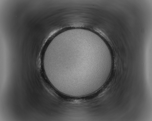 X0000086310584200704202004