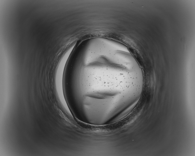 X0000086310585200704202004