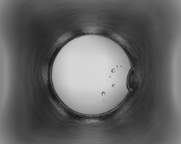 X0000086310586200704202004