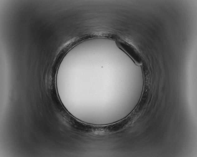 X0000086310587200704202004