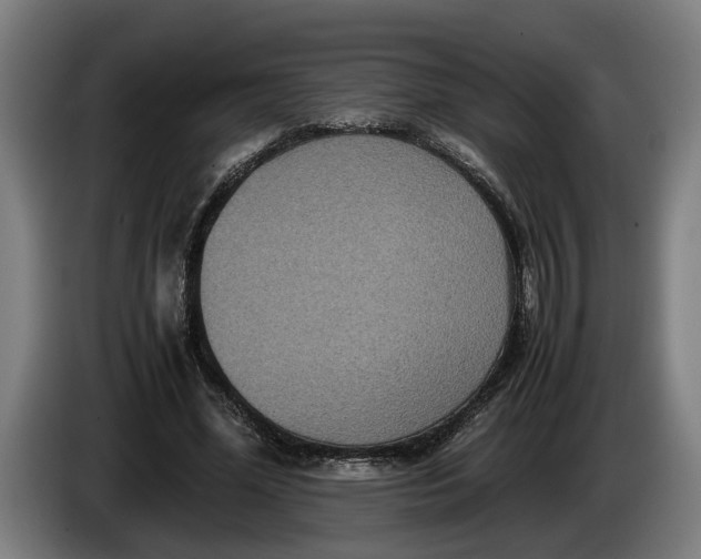 X0000086310588200704202004