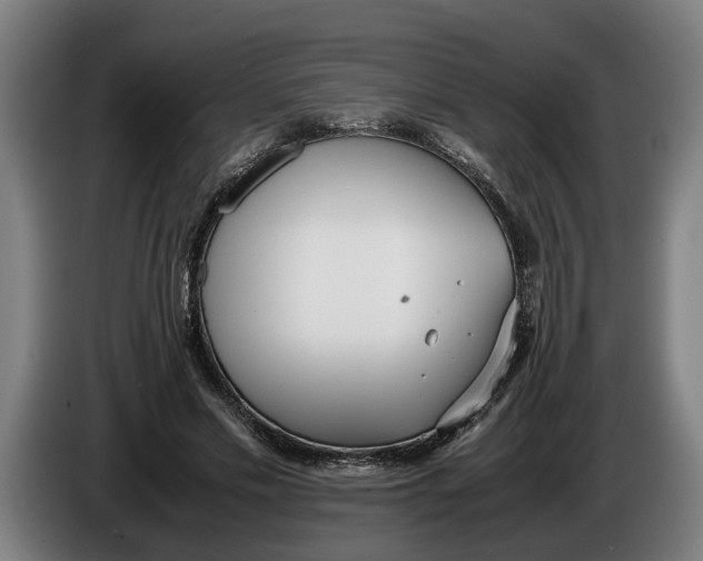 X0000086310589200704202004