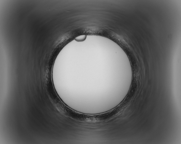 X0000086310591200704202004