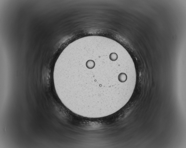 X0000086310592200704202004