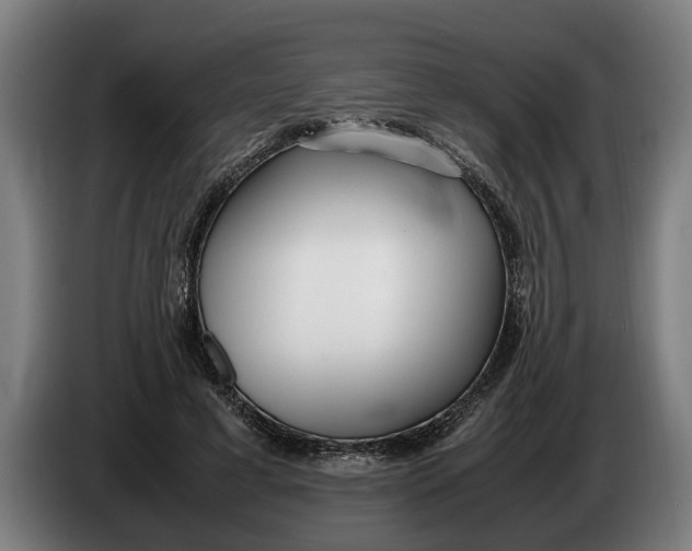 X0000086310593200704202004