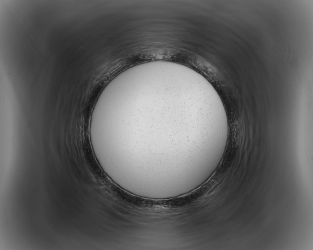 X0000086310594200704202004