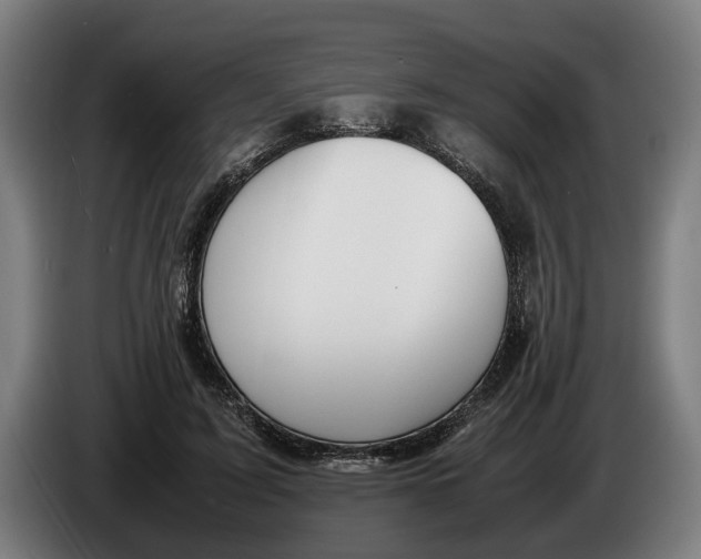 X0000086310595200704202004