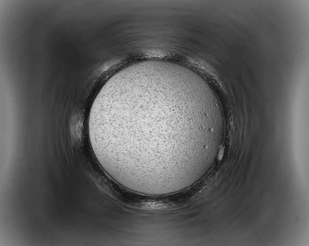 X0000086310596200704202004