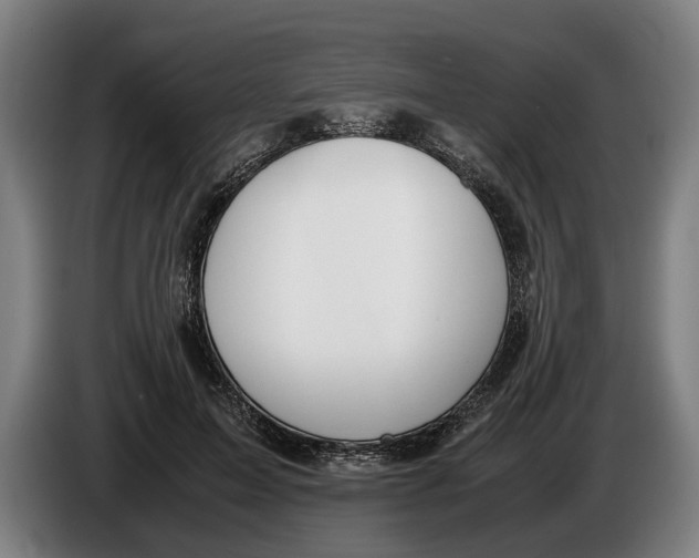 X0000086310599200704202004