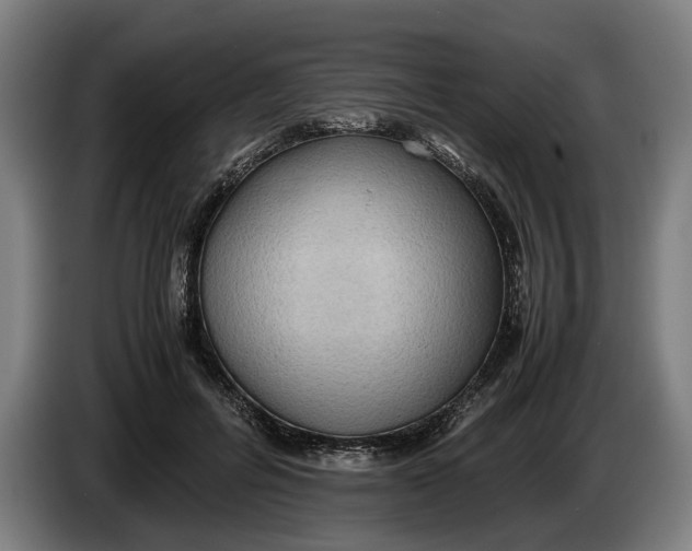 X0000086310600200704202004