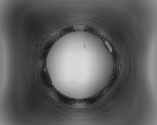 X0000086310601200704202004