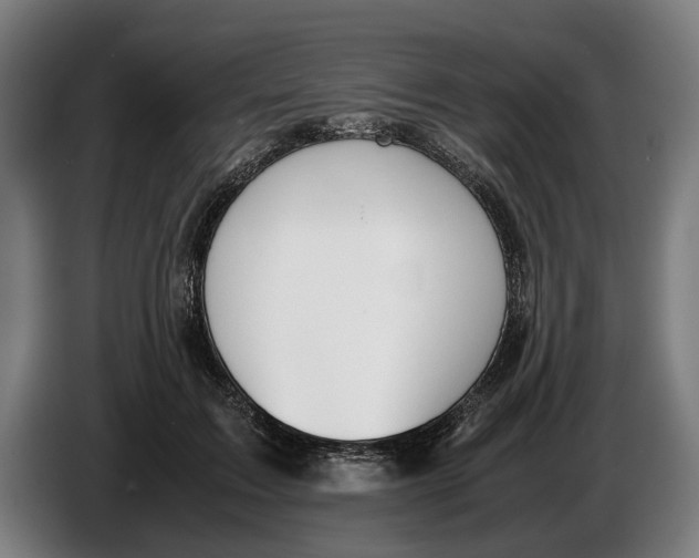 X0000086310603200704202004